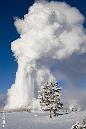 Old Faithful in winter - credit Mike Dunn
